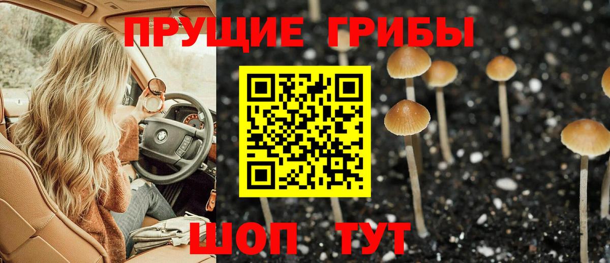 Галлюциногенные грибы GOLDEN TEACHER Красноуфимск