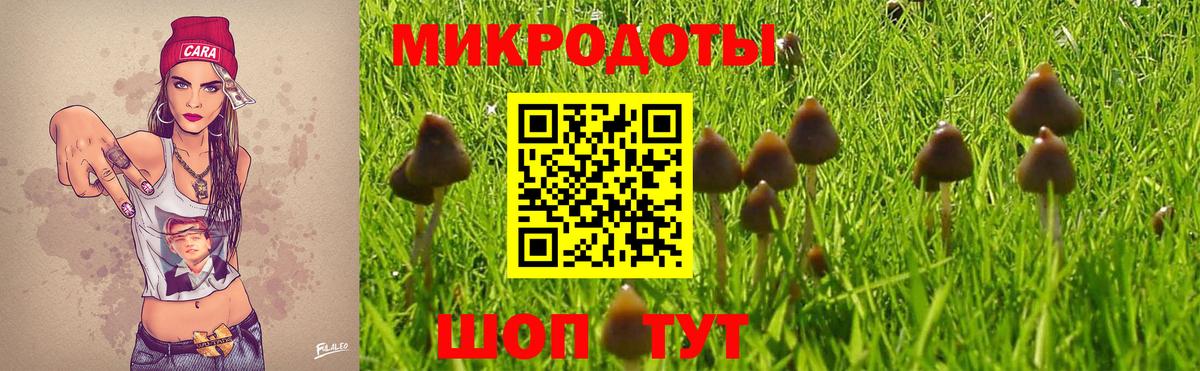 Красноуфимск  купить наркотик  Вход с VPN  Псилоцибиновые грибы Cubensis 